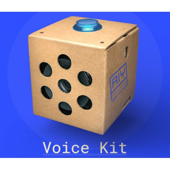 Aiy voice store kit google home